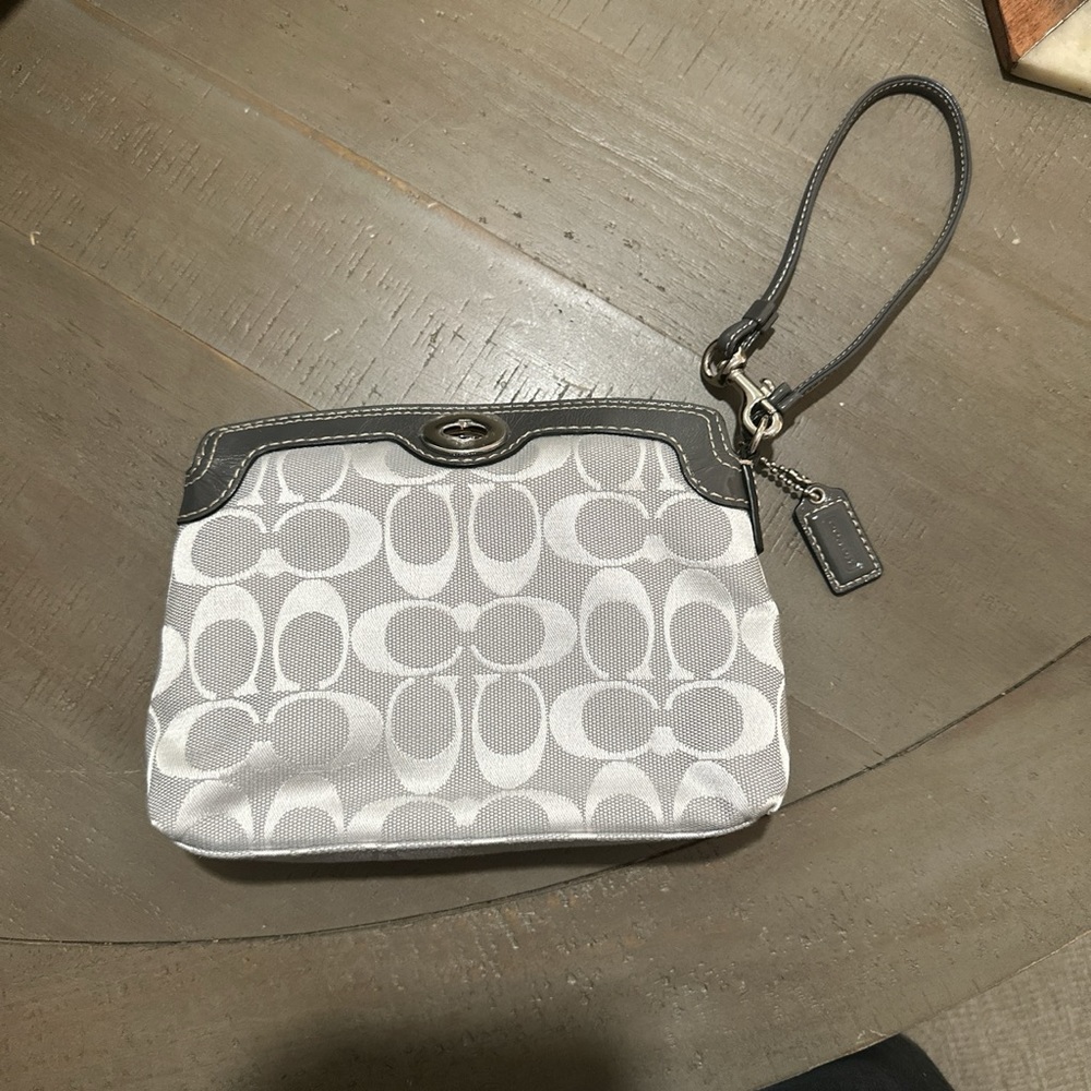 coach mini bag